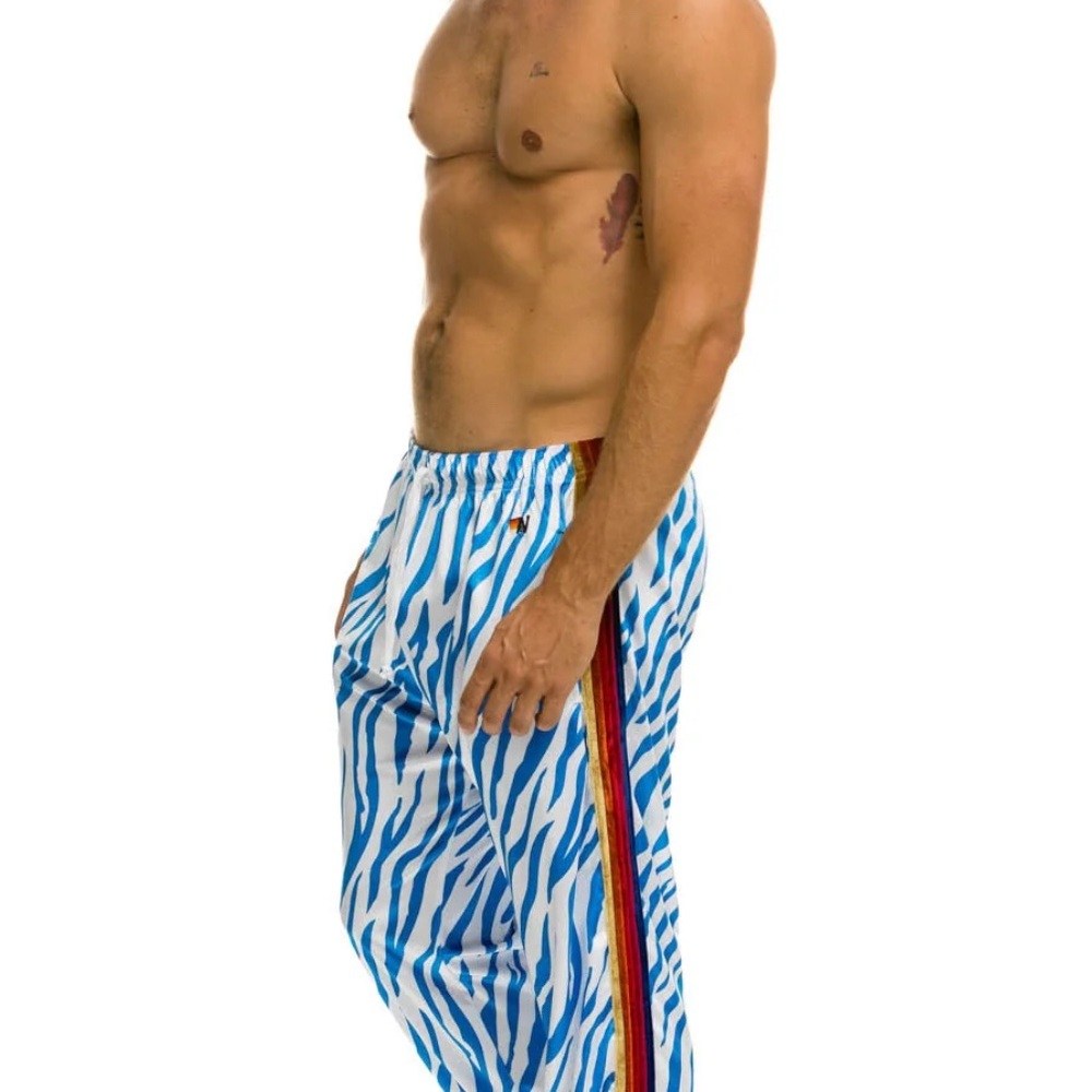 Aviator Nation Blue and White Patterned Swim Shorts